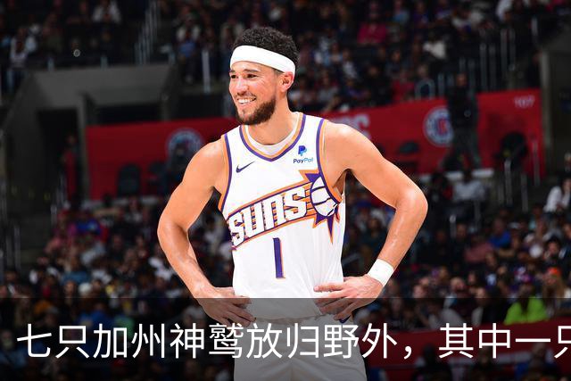 七只加州神鹫放归野外，其中一只是第200只