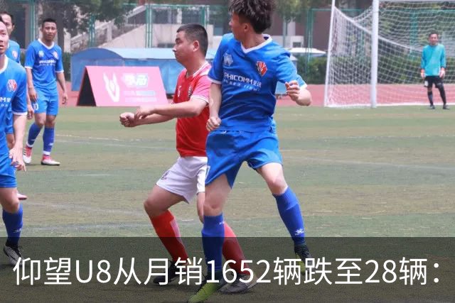 仰望U8从月销1652辆跌至28辆：技术堆满为何换不来百万市场？