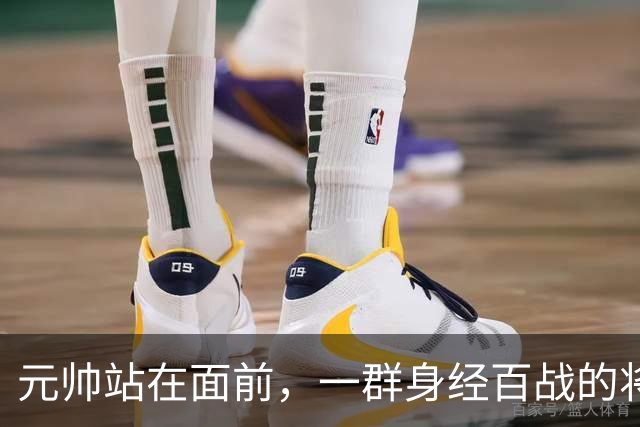 元帅站在面前，一群身经百战的将领没人敬礼，刘伯承沉默转身