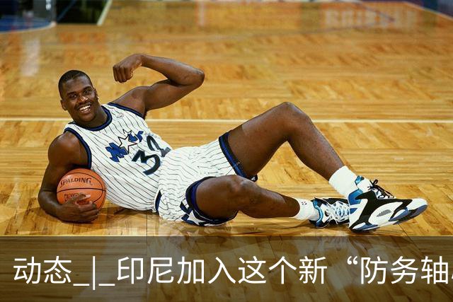 动态 | 印尼加入这个新“防务轴心”，印度深感恐慌！
