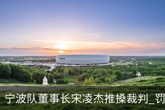 宁波队董事长宋凌杰推搡裁判 罚款8万停赛2场