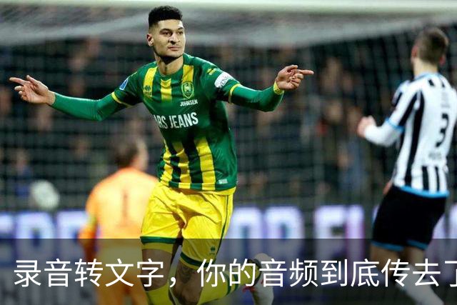 录音转文字，你的音频到底传去了哪台服务器？