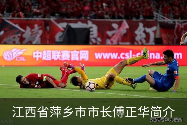 江西省萍乡市市长傅正华简介