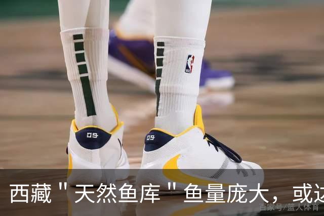西藏＂天然鱼库＂鱼量庞大，或达2亿公斤？为何人们不进行打捞？