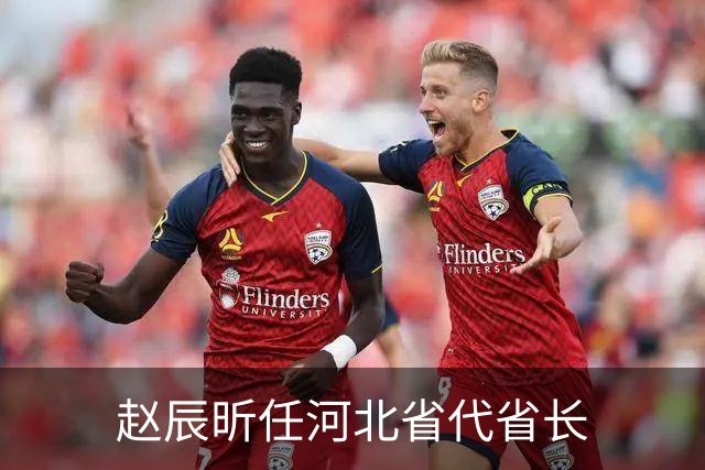 赵辰昕任河北省代省长