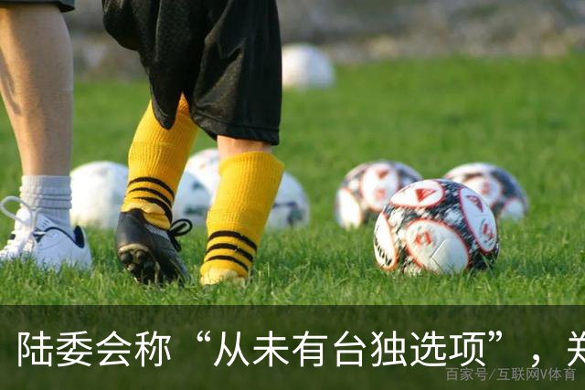 陆委会称“从未有台独选项”，郑丽文批：“台独”党纲怎么产生？